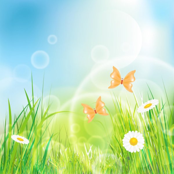 летние фоны