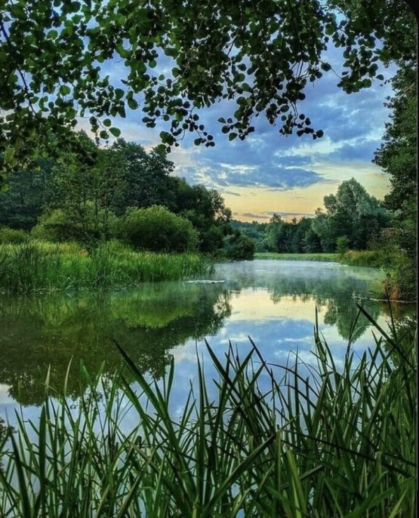 пейзаж тихая заводь