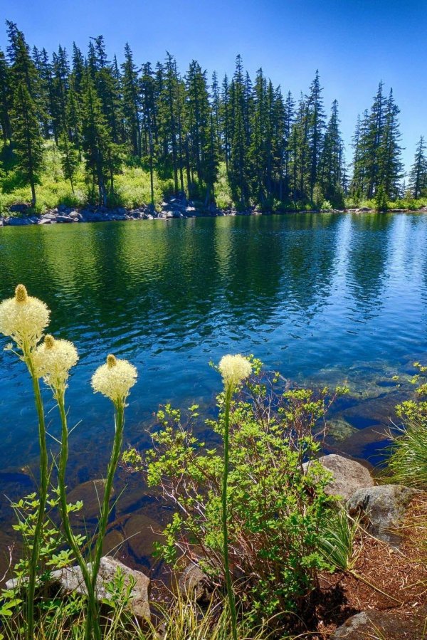 природа красивая