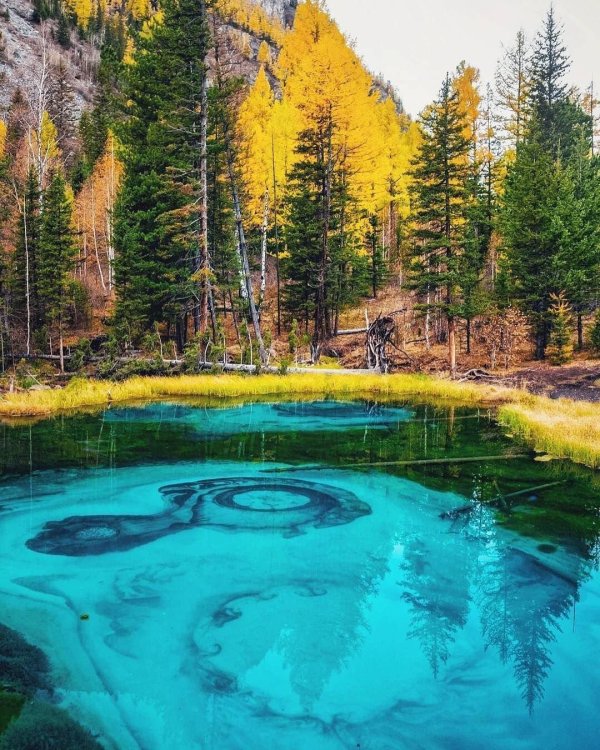 гейзерное озеро алтай