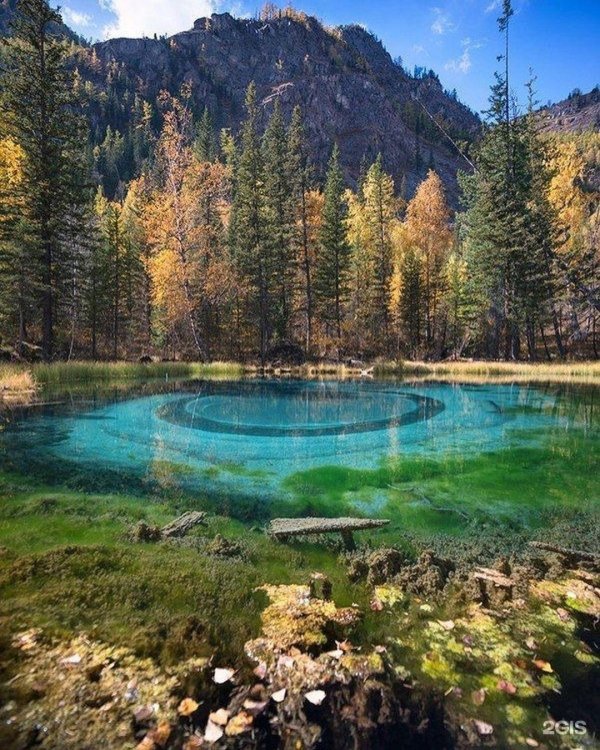 голубые озера горный алтай