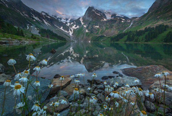 катунский биосферный заповедник