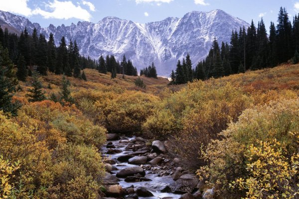 уссурийская тайга горная речка