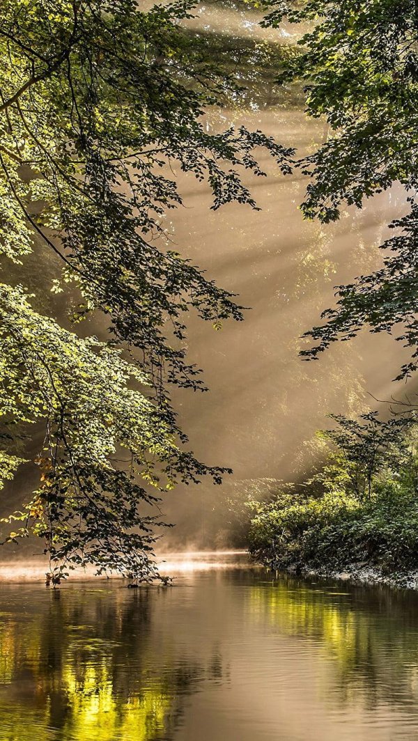 восхитительный пейзаж