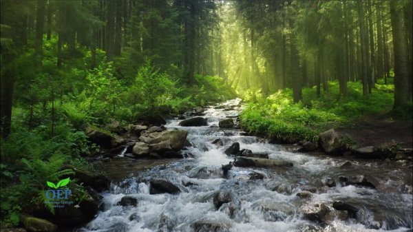 шум природы для релаксации и успокоения нервов