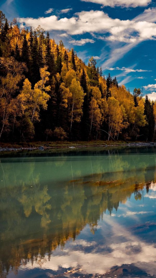 осенний алтай катунь