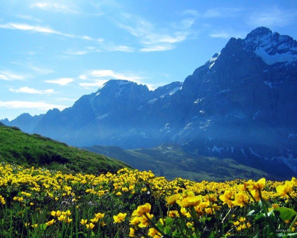 гора агепста сочи