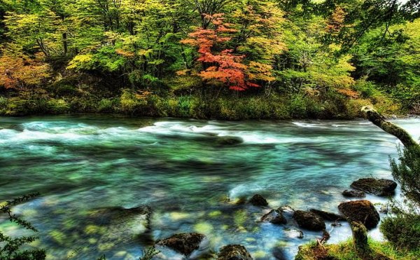 природа красивая