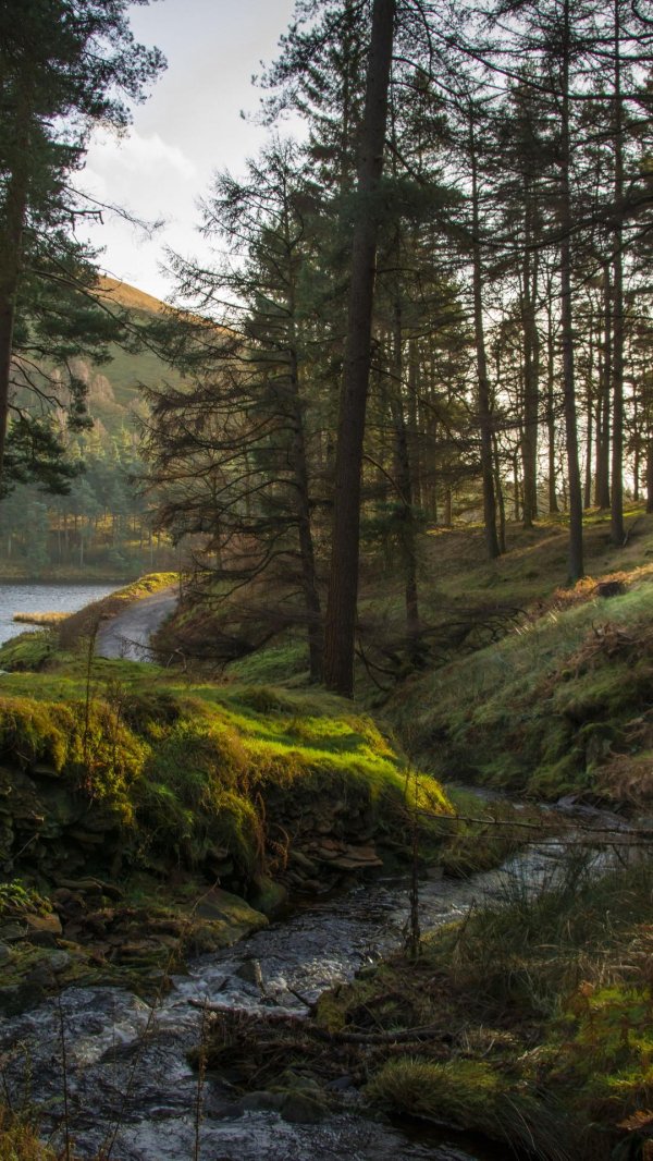 ручей хейнуойя