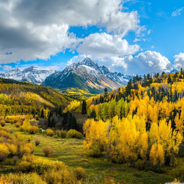 штат колорадо леса