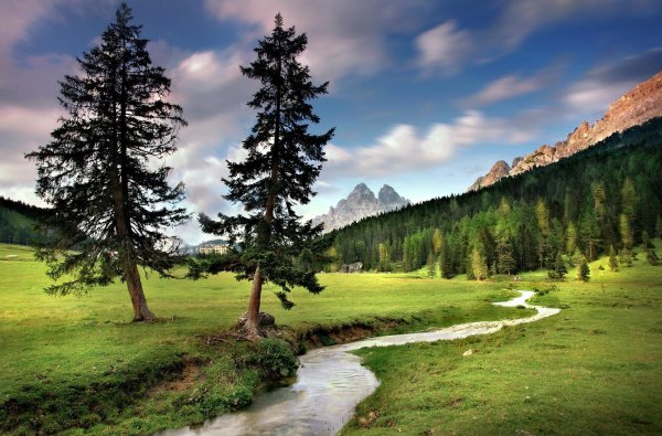 южный шварцвальд озеро