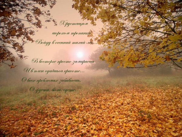 осеннее утро стих