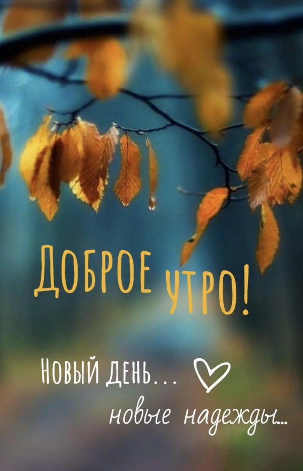 доброго утра осеннего