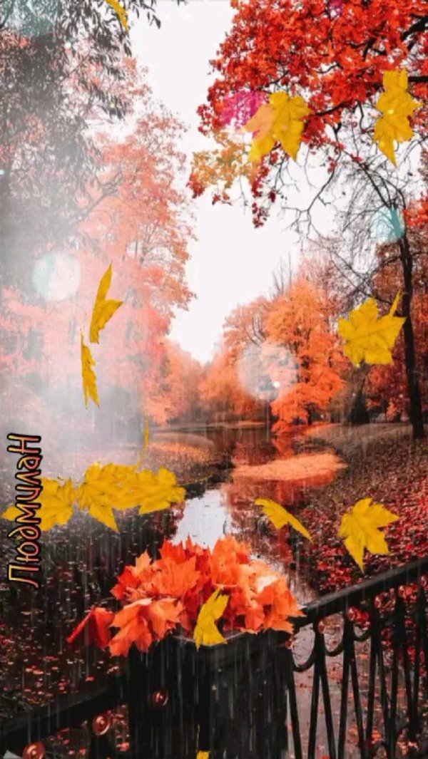 листопад осенний