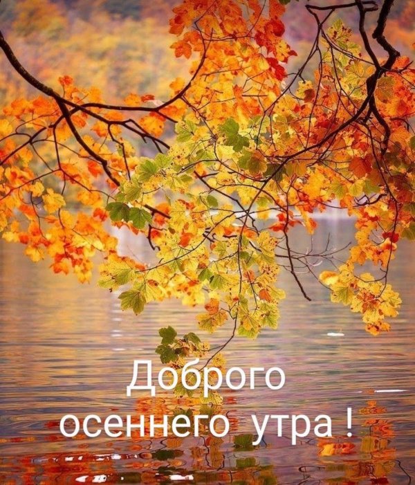 добрейшего осеннего утра