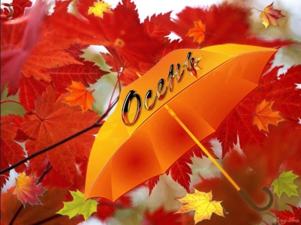 осенние зонтики