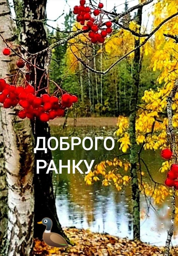 доброго ранку