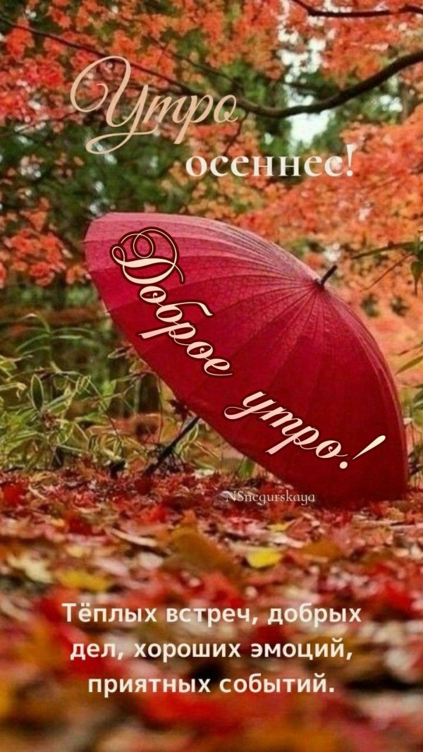 осенняя погода