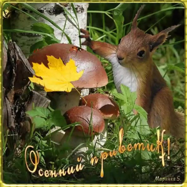 анимация осенний вторник