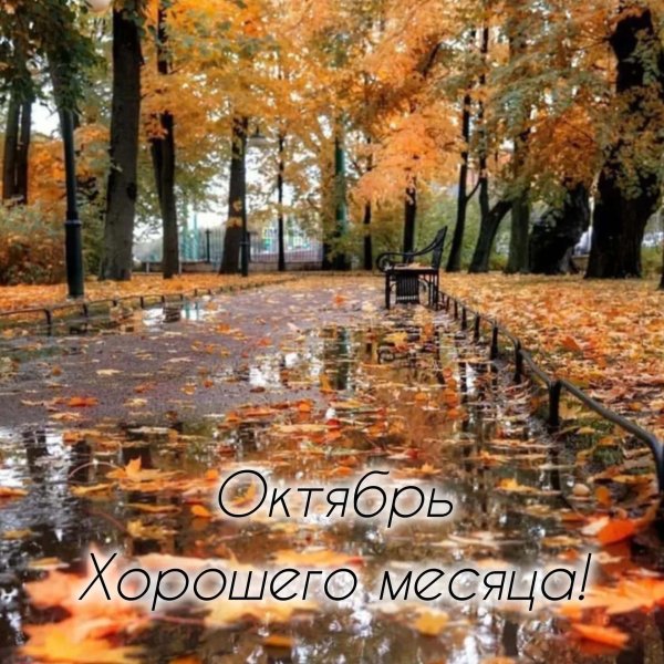 осень октябрь