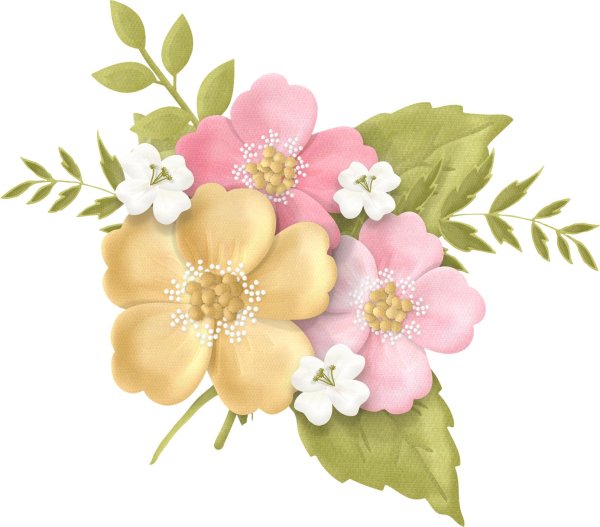 цветок иллюстрация