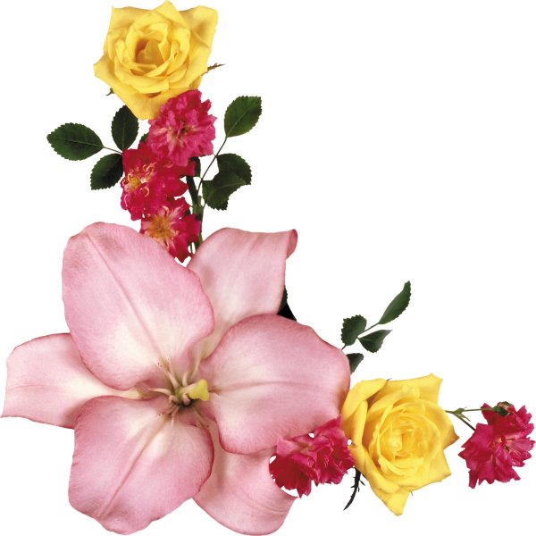 цветочные уголки