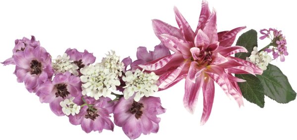 цветочная композиция