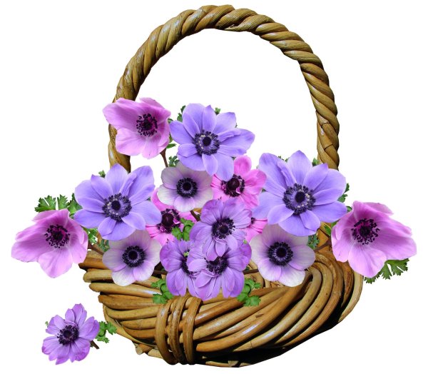 корзинка с цветами