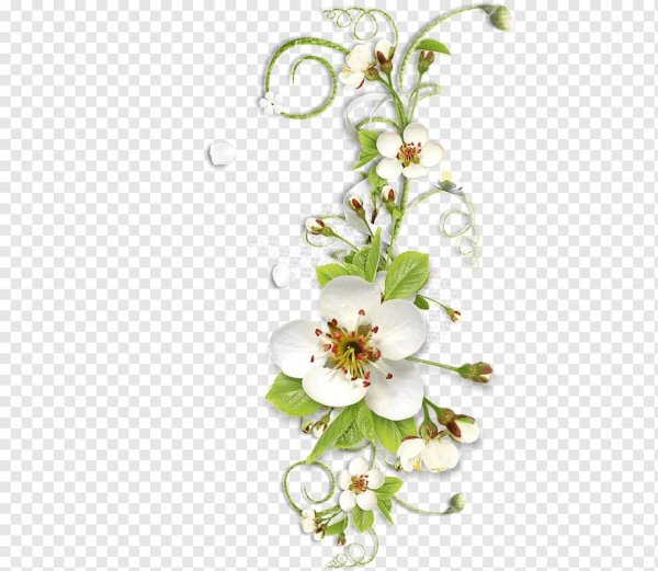 веточка цветов