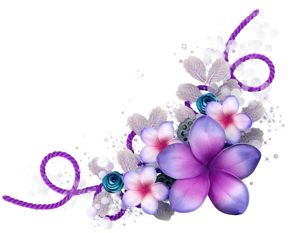 прозрачный фон цветы