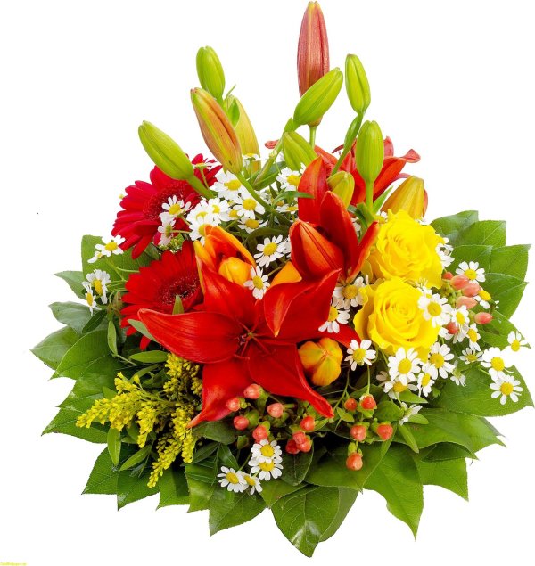 букет из лилий и гербер