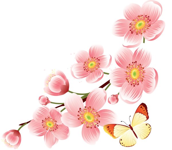 прозрачный фон цветы