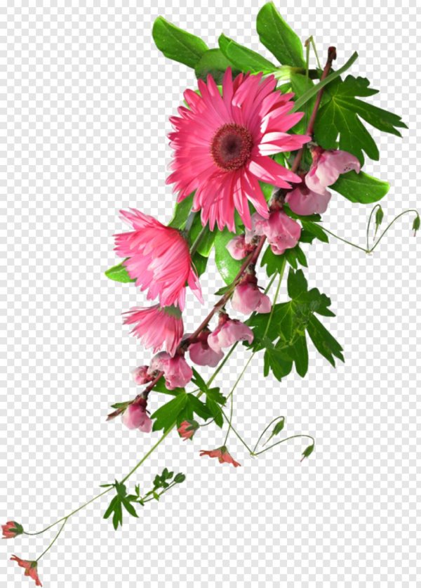 клипарт цветок