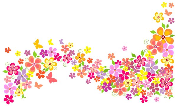 россыпь цветов