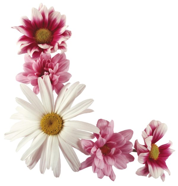 цветочные уголки