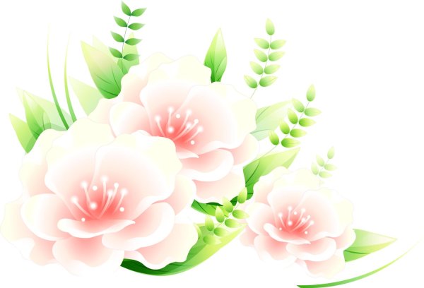 цветок векторный