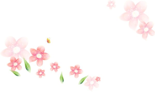 прозрачный фон цветы