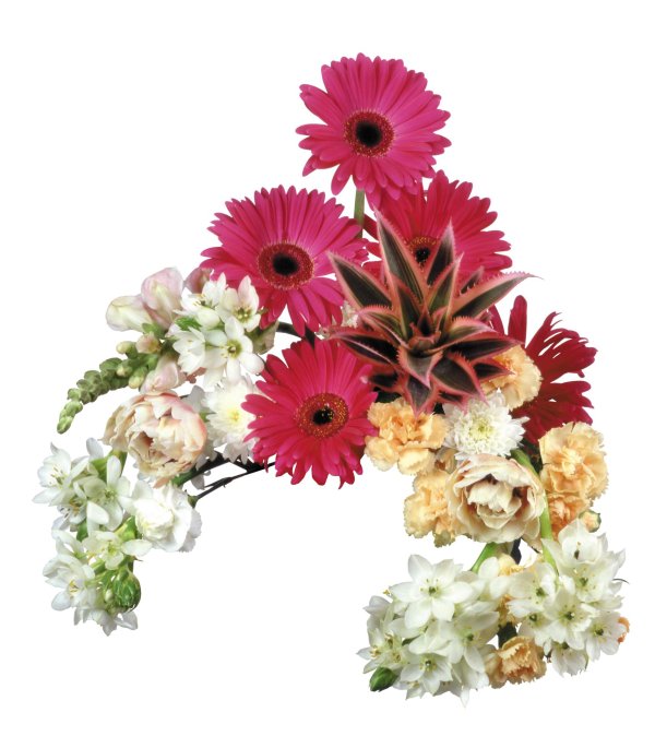 букет цветов для фотошопа