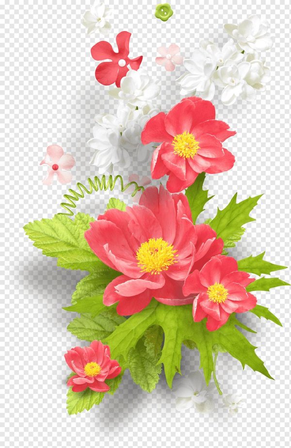 цветы для фотошопа