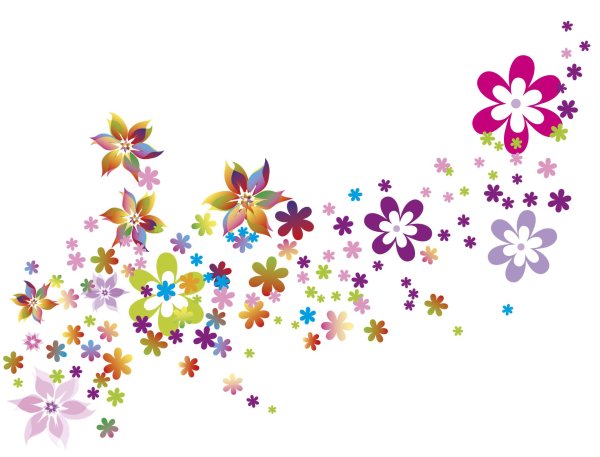 россыпь цветов