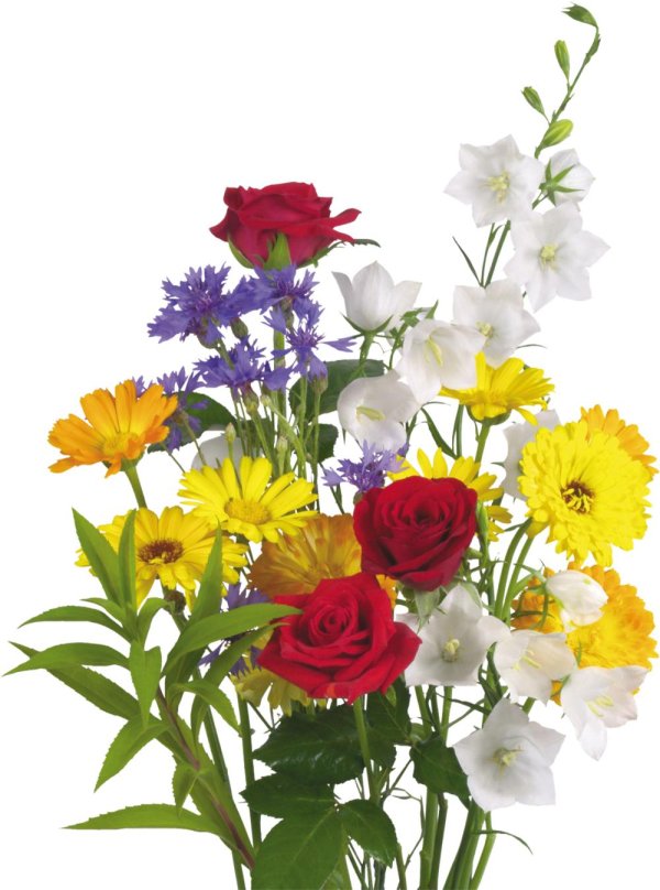 букет полевых цветов