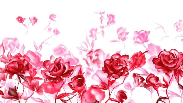 акварельные розы