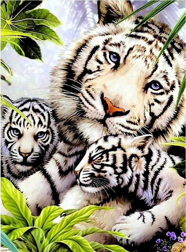 картина с тигром