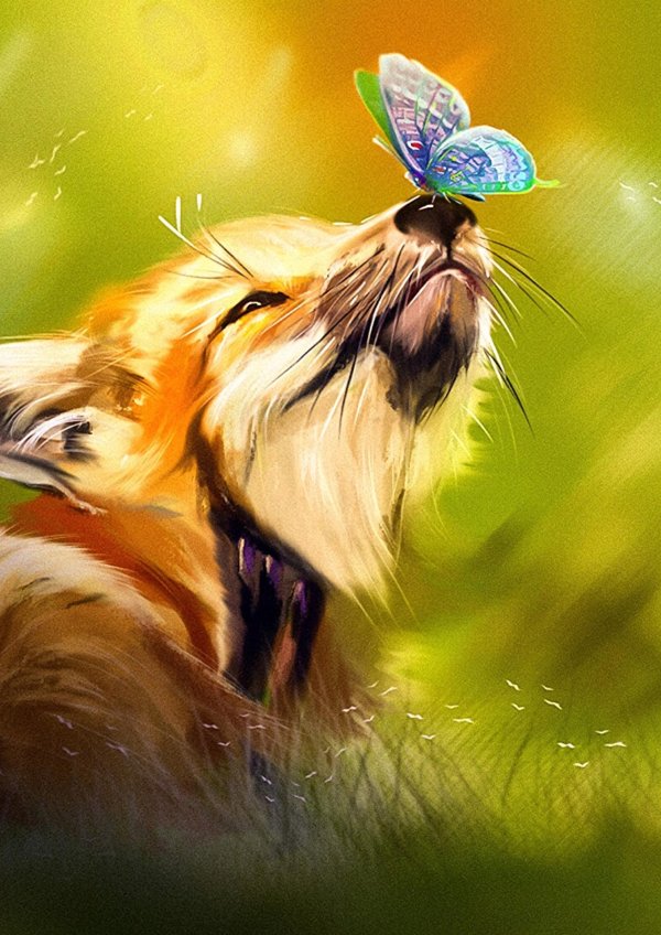 лис бабочка