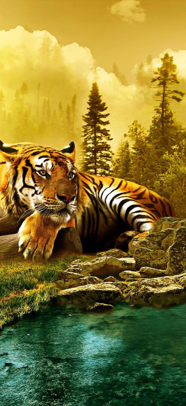 красивые пейзажи с животными