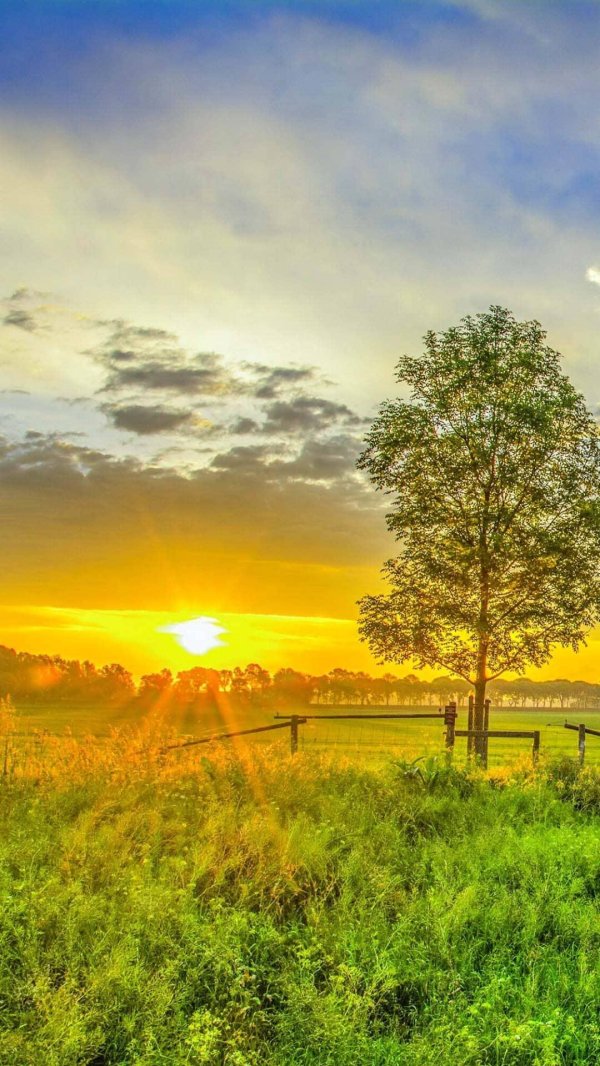 летние пейзажи