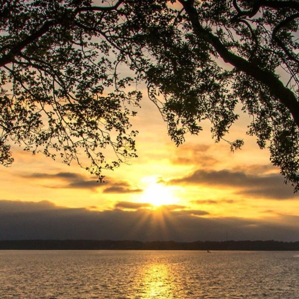 рассвет на озере