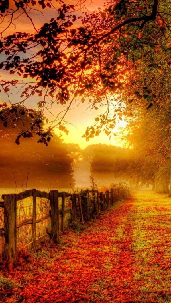 красивая осень