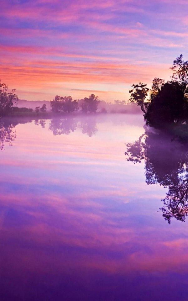 фиолетовая природа