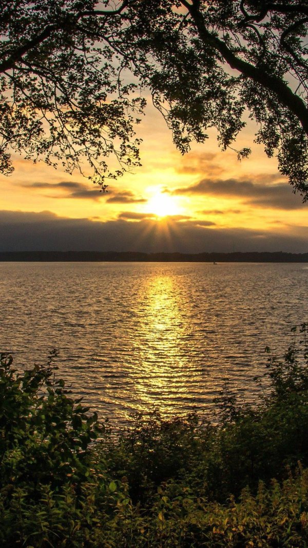 рассвет на озере